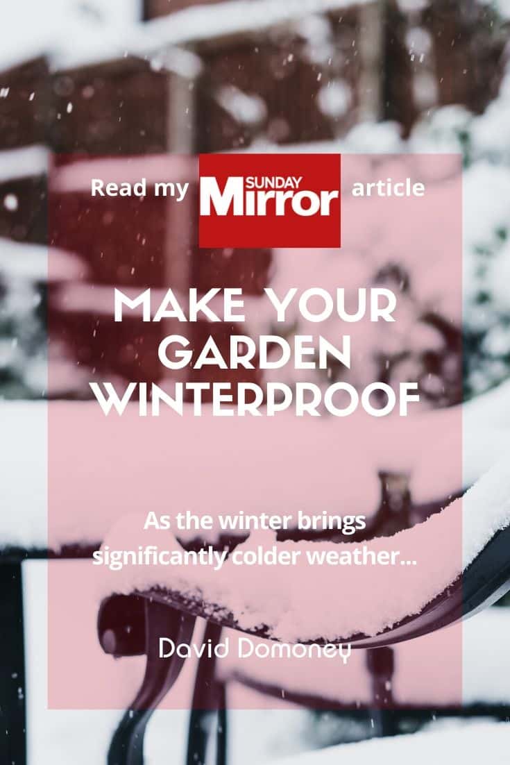 Sunday Mirror: Make your garden winterproof