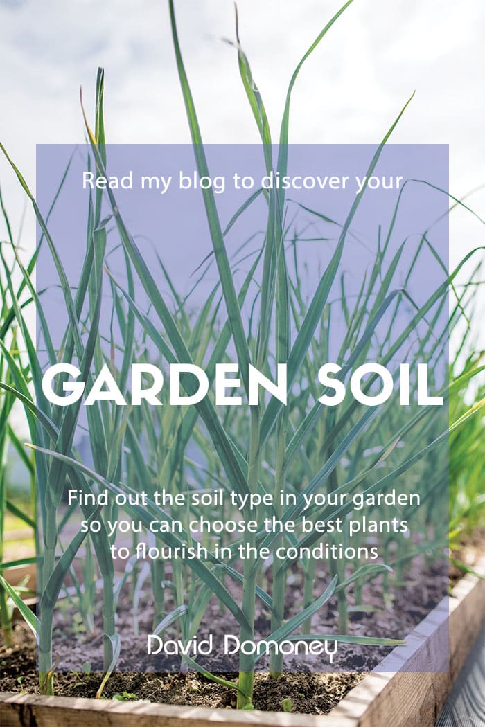 Discover your garden soil