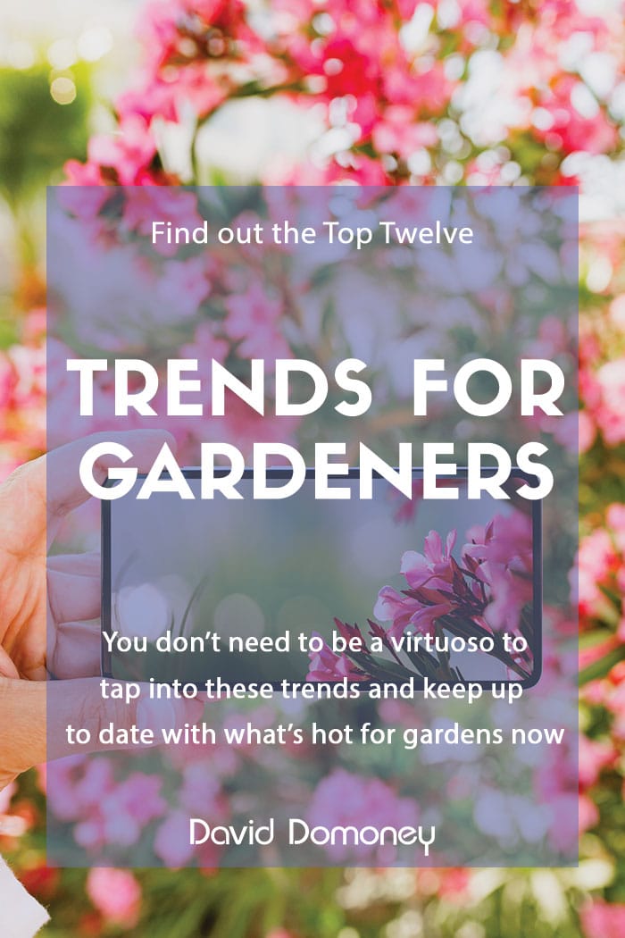 Top 12 garden trends for 2020