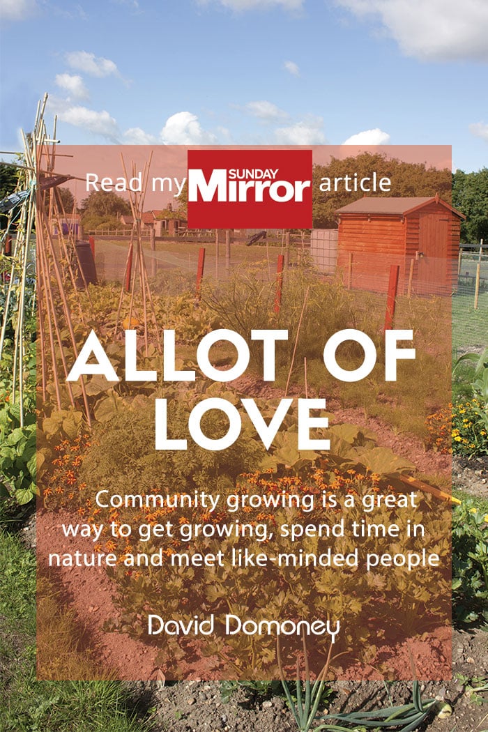 Sunday Mirror article: Allot of love