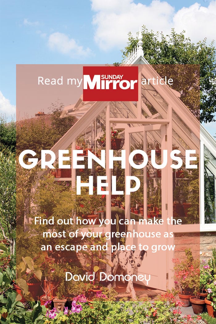 Sunday Mirror article: Greenhouse help