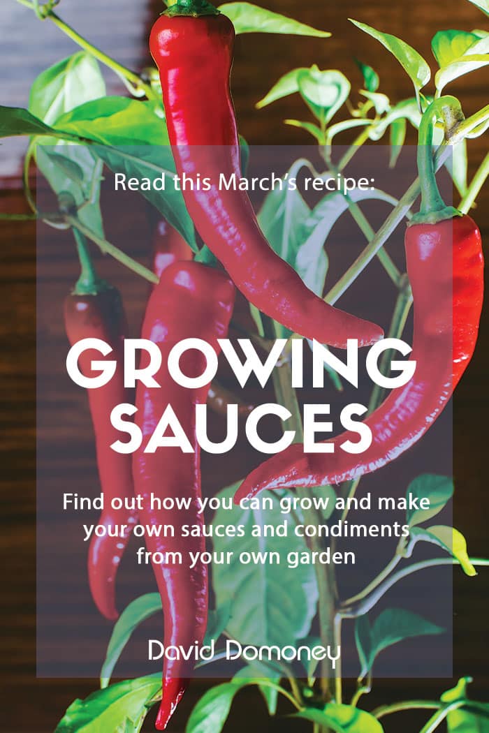 March recipe: Grow your own sauces