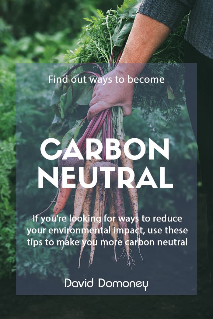 Ways to become carbon neutral