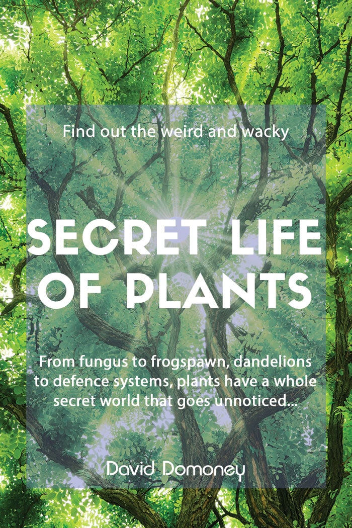 Secret life of plants