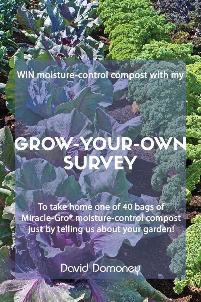 Grow Your Own Survey – WIN prizes!