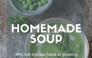 Grow soup