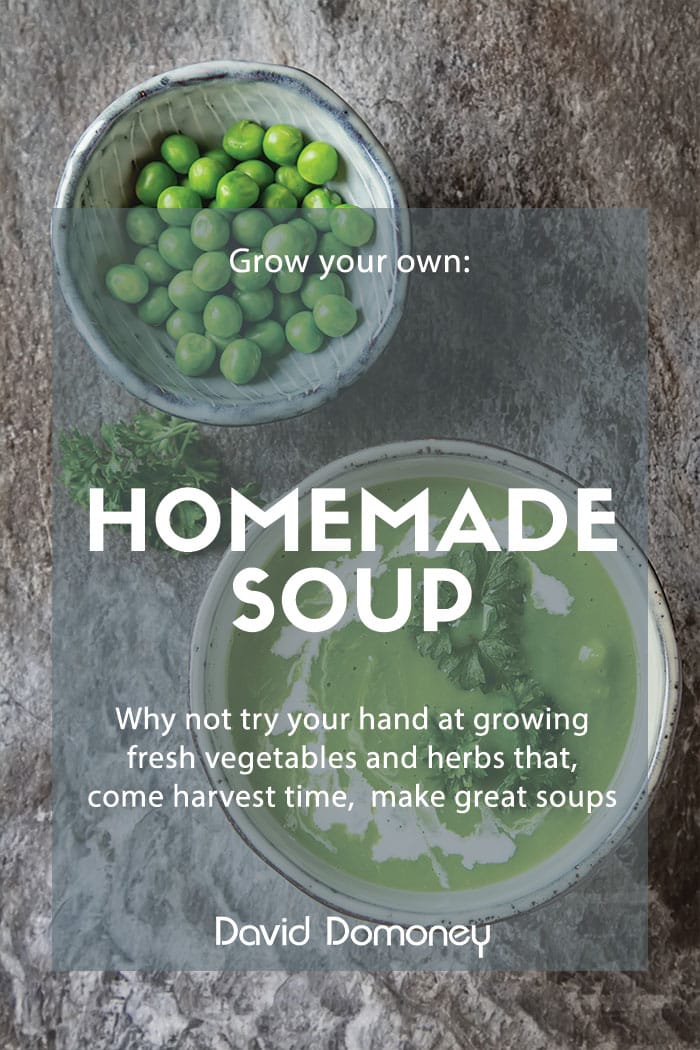 April’s recipe: Grow your own soup