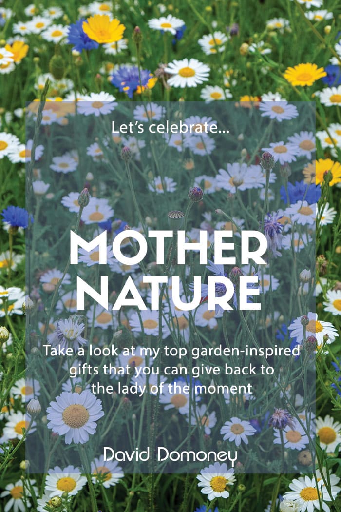 Let’s celebrate Mother Nature