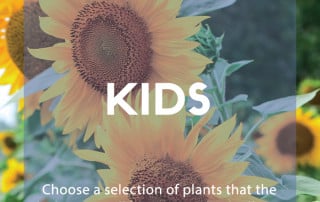 Plants for purpose kids