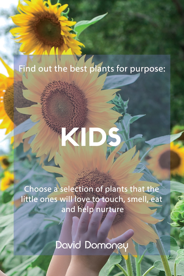 Plants for purpose: Kids