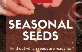 Sunday Mirror Seasonal seeds