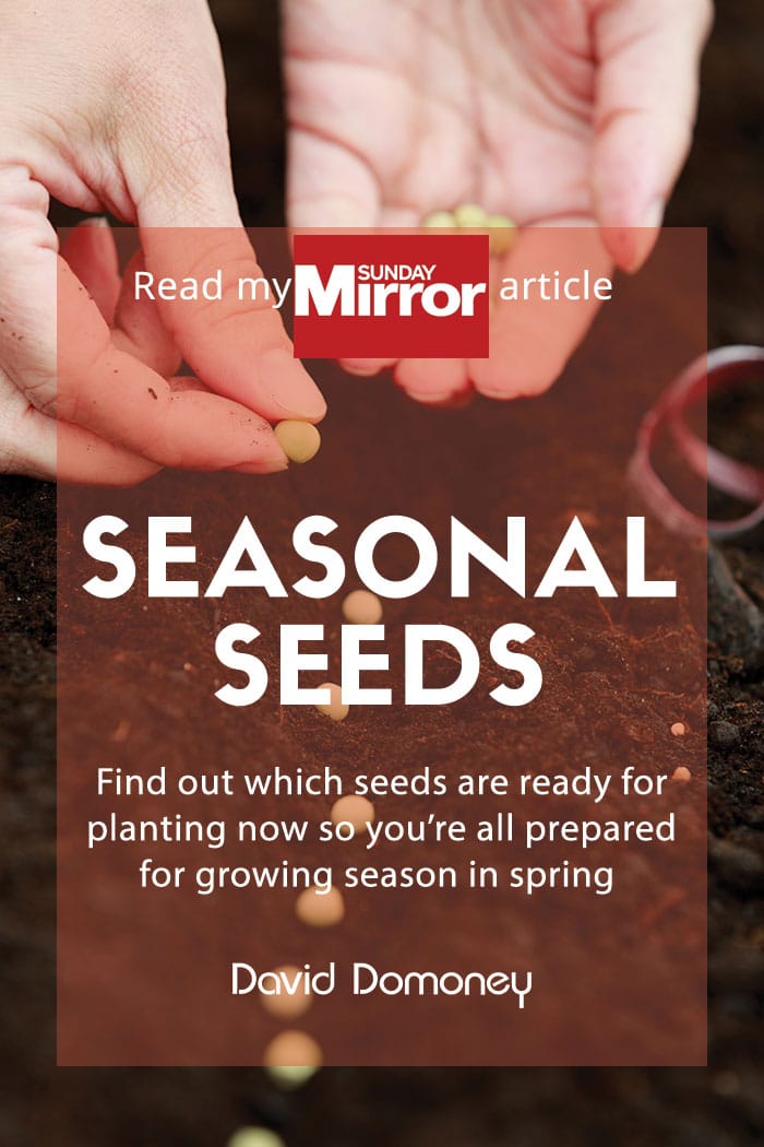 Sunday Mirror Seasonal seeds