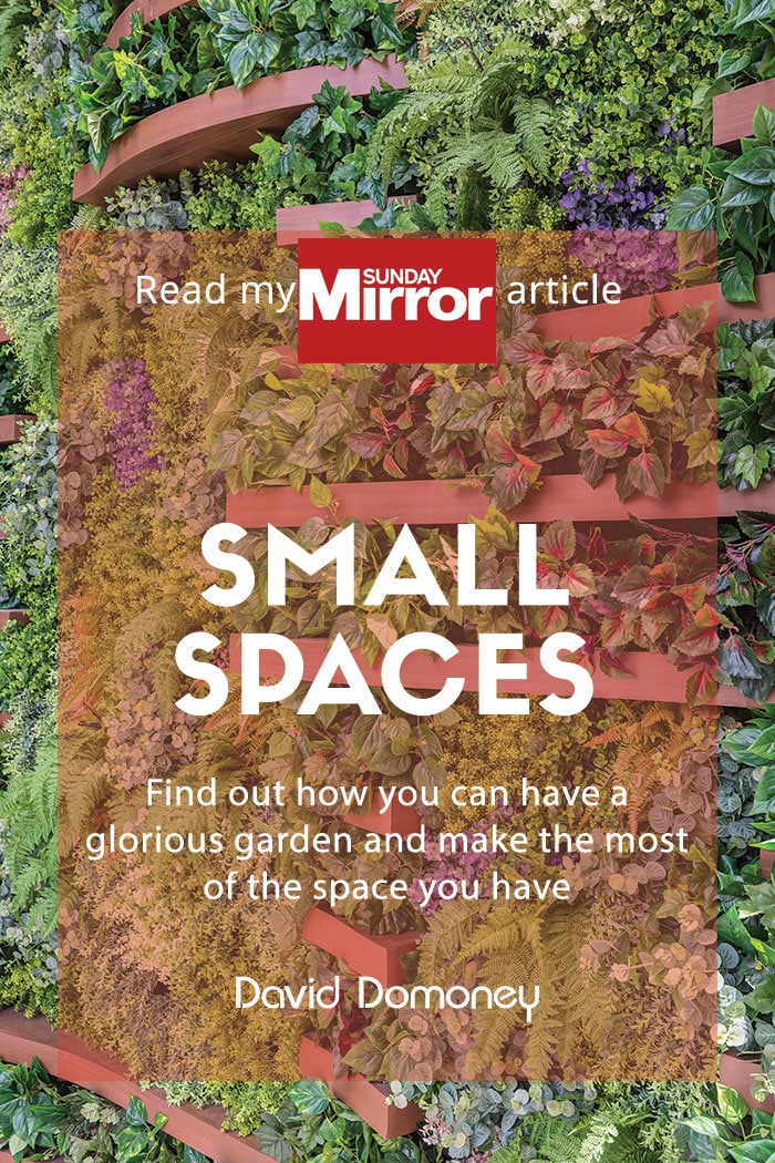 Sunday Mirror article: Small spaces