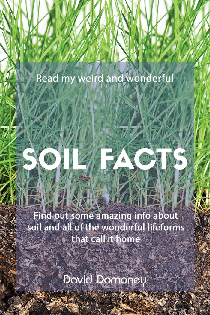 Weird and wonderful facts about soil