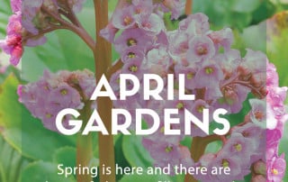 Top Ten Plants April