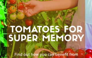 Eat to Defeat tomatoes