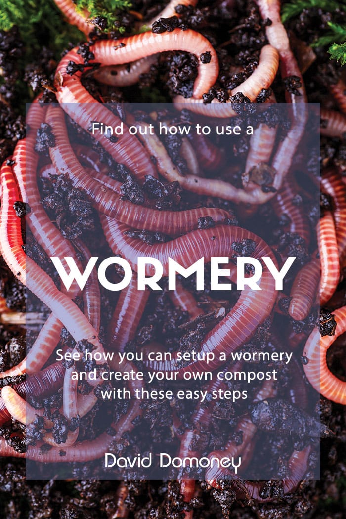 How to use a wormery