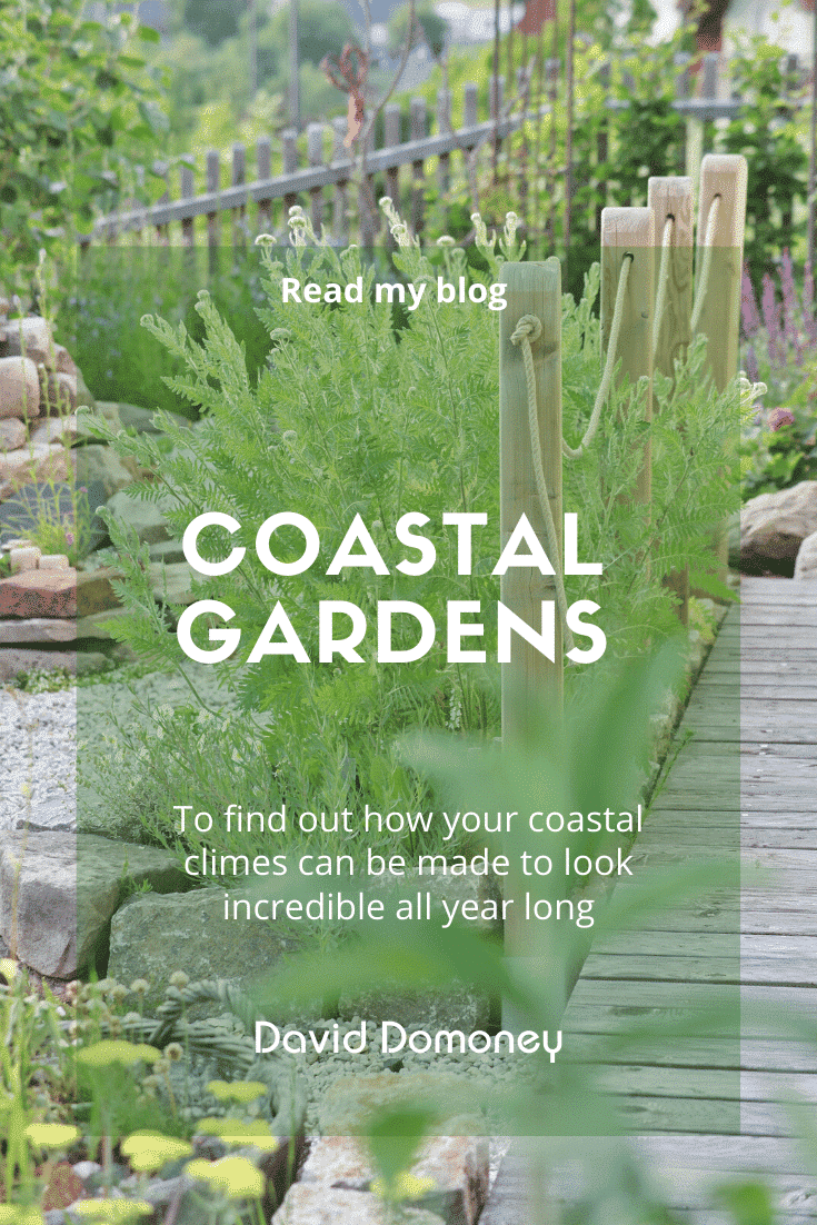 Coastal garden care