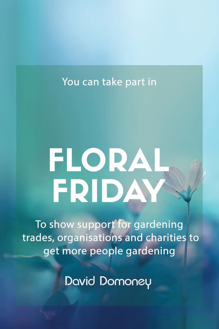 Support gardening with Floral Friday