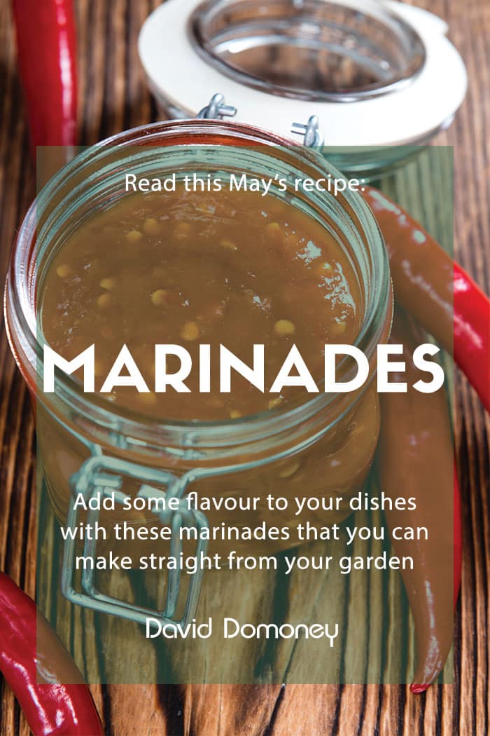 May’s recipe: Grow your own marinade