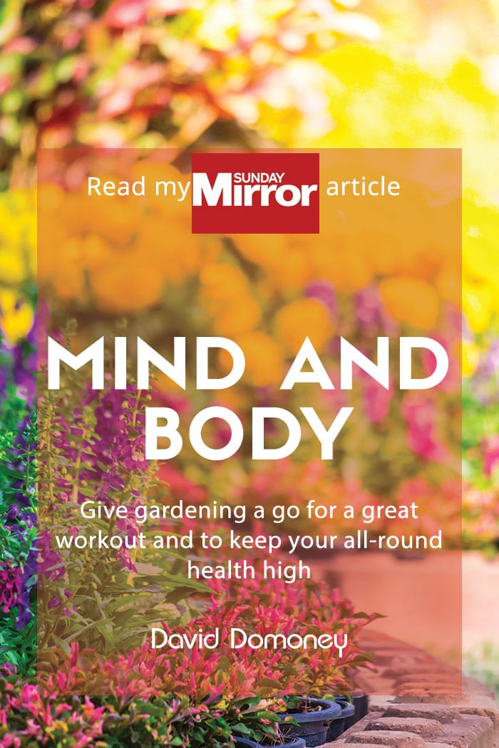 Sunday Mirror article: Mind and body