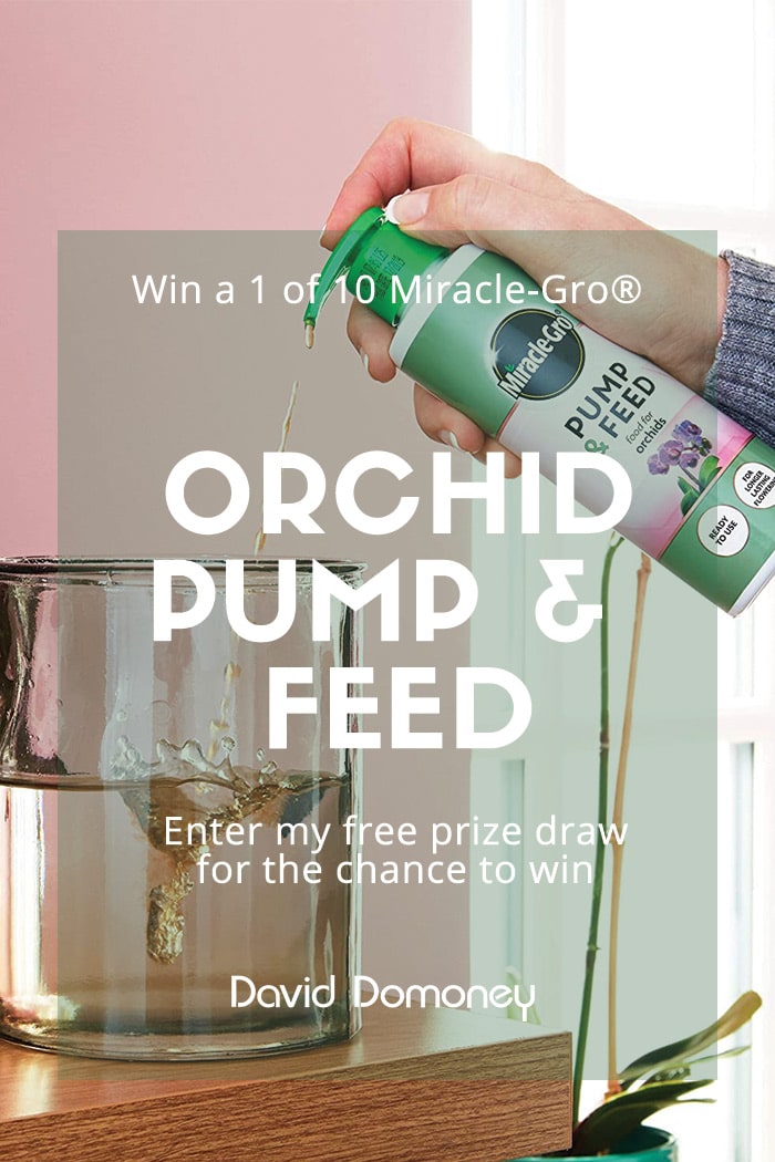 Win 1 of 10 Miracle-Gro® Orchid Pump & Feed