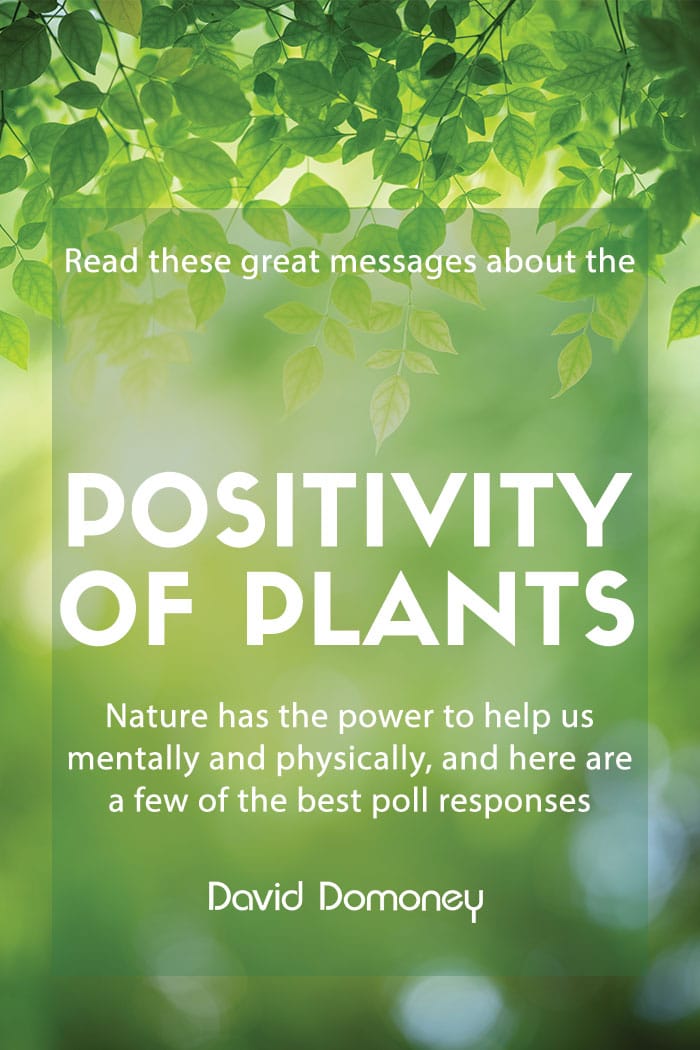 Inspirational responses to the positivity of plants poll