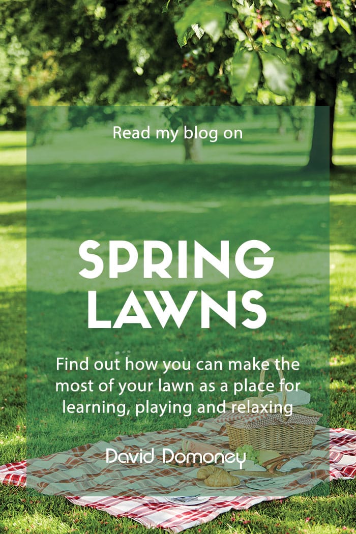 Spring lawns