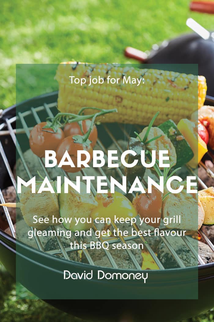 Top job for May: Barbecue maintenance