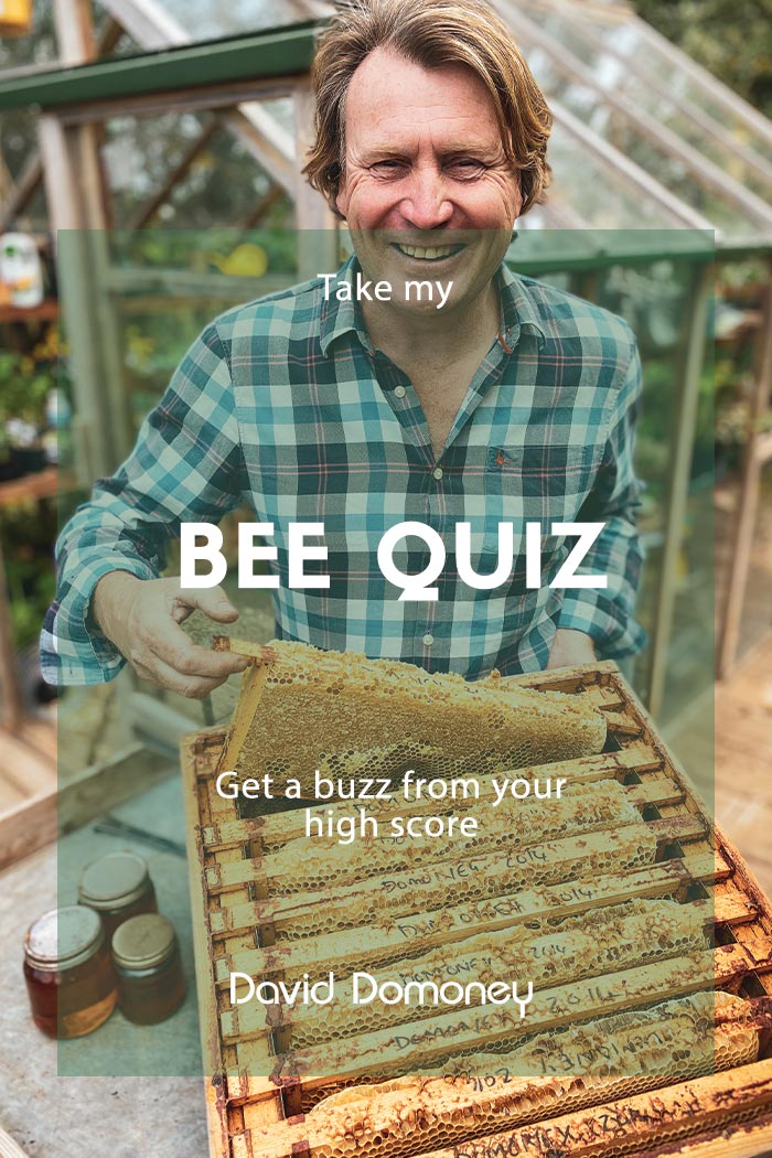 David Domoney’s Bee Quiz