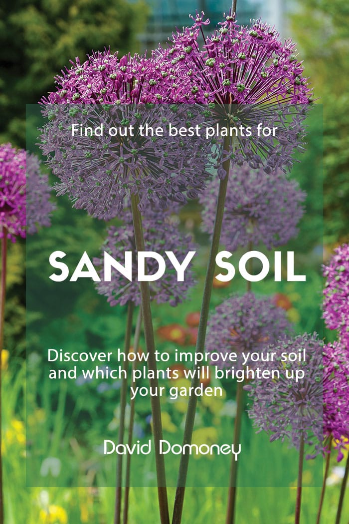 sandy soil