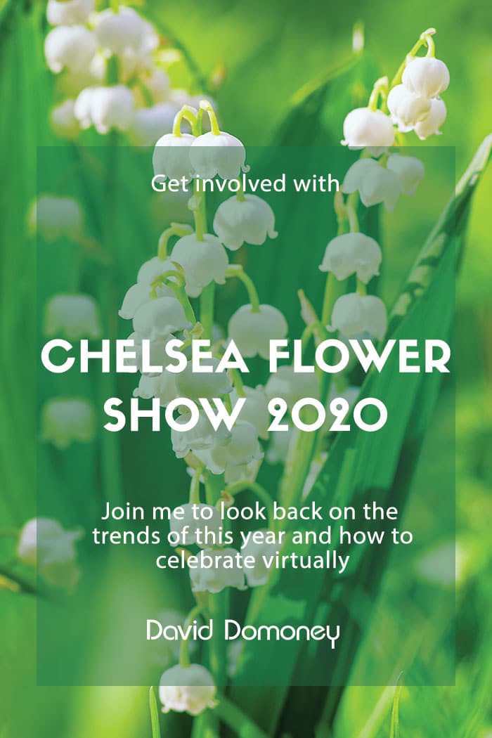 Chelsea Flower Show 2020