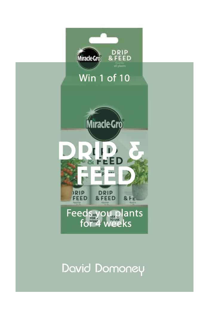 Win 1 of 10 Miracle-Gro® Drip & Feed All Purpose Food