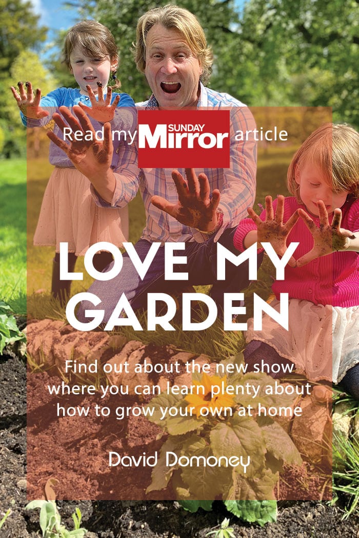 Sunday Mirror article: Love my garden