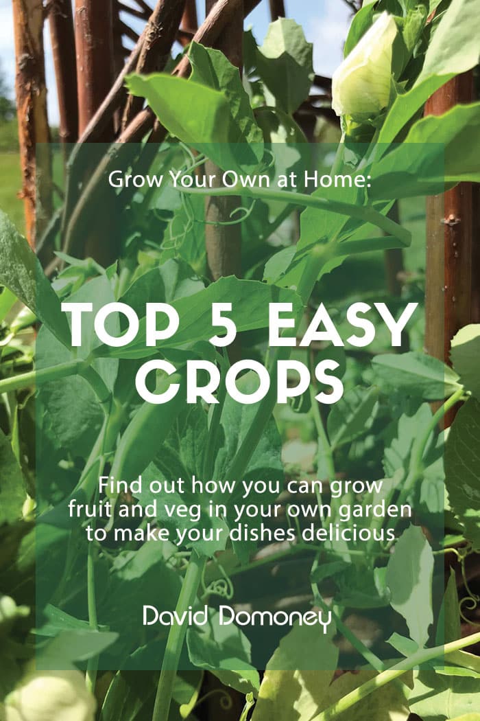 Grow Your Own at Home: Top 5 easy crops