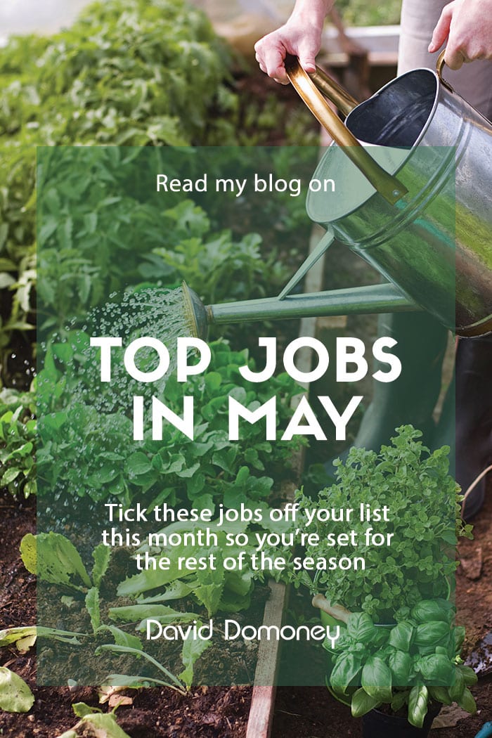 Top 5 gardening jobs for May