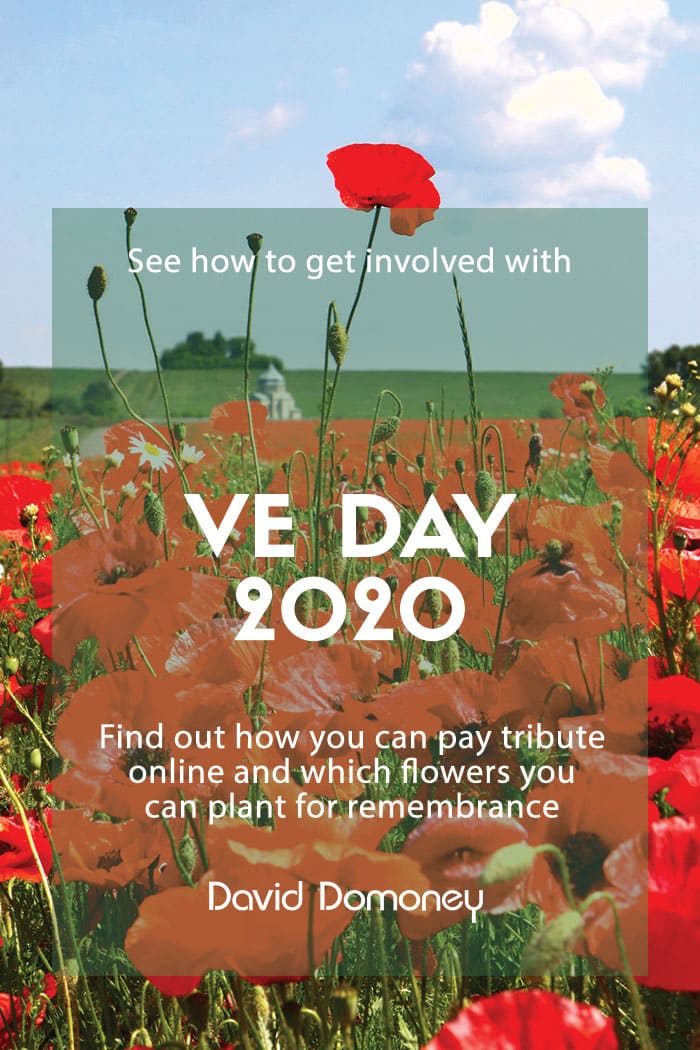 VE Day 2020