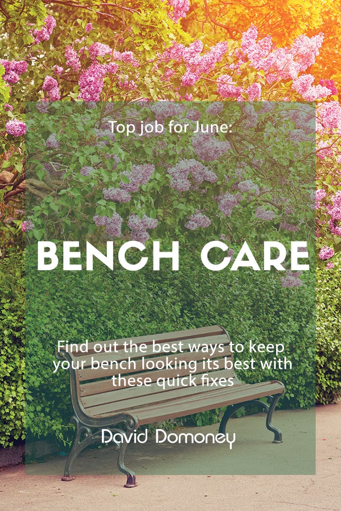 Top job for June: Bench care