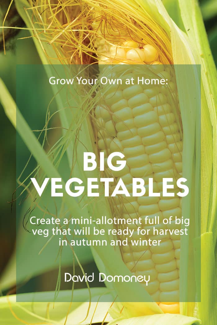 Grow Your Own at Home: Big vegetables