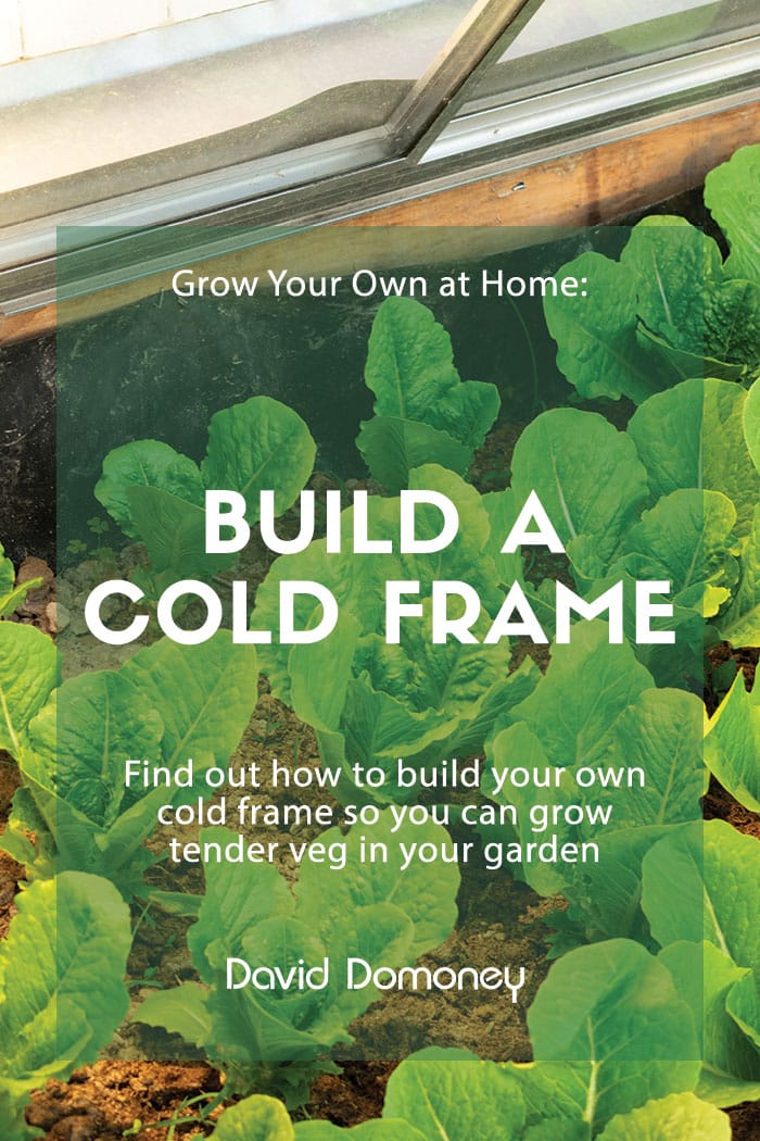 Grow Your Own at Home: Cold frames for tender veg