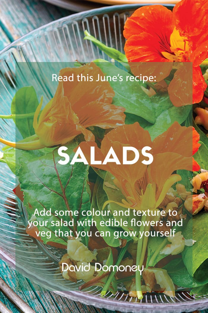 June’s recipe: Grow your own salad