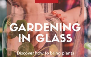 Gardening in glass