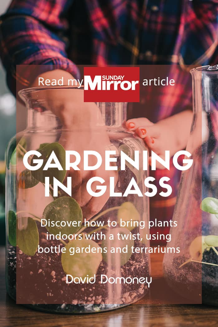 Sunday Mirror article: Gardening in glass