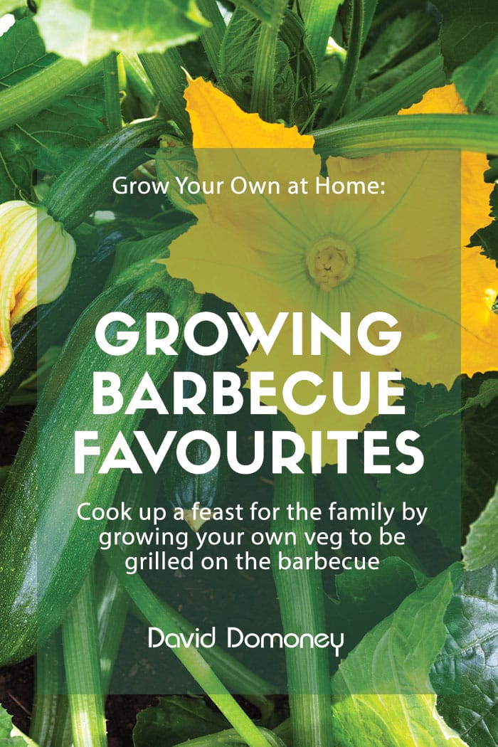 Grow Your Own at Home: Growing barbecue favourites