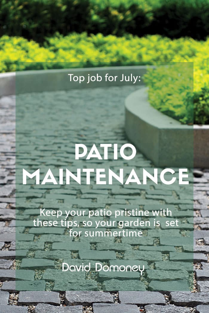 Top job for July: Patio maintenance