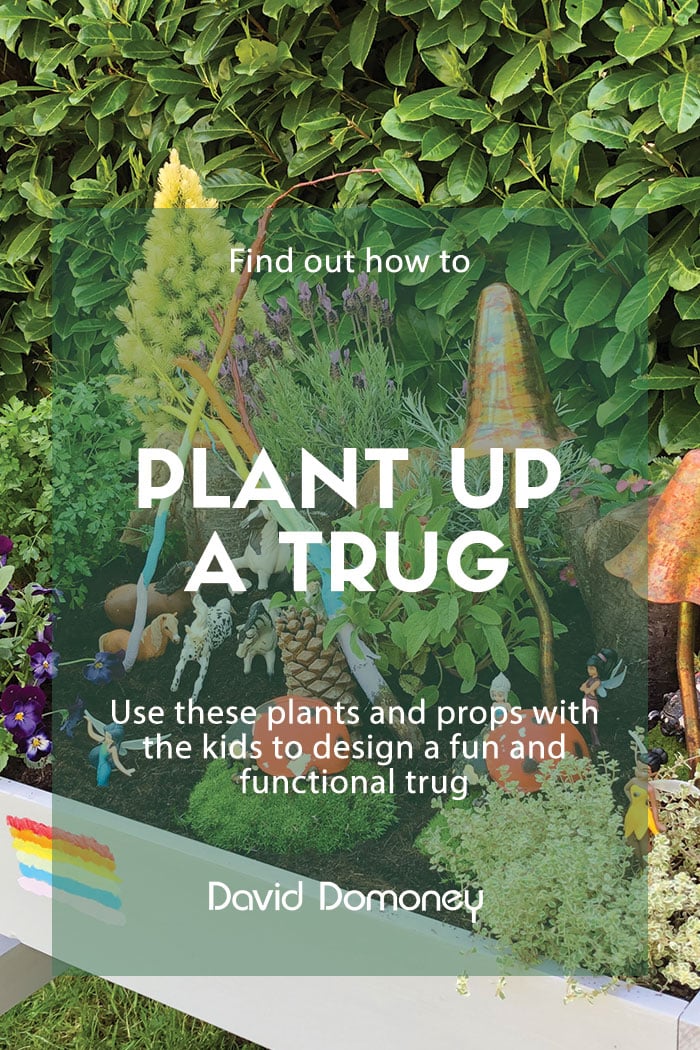 How to plant up a trug