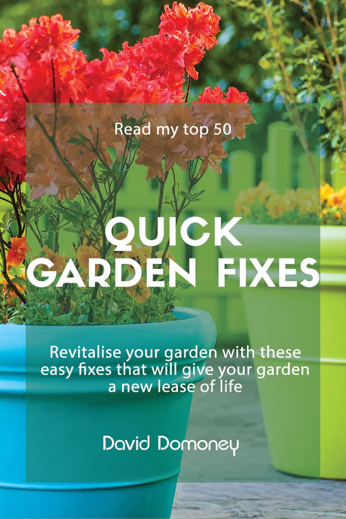 Easy ideas: 50 quick fixes for the garden