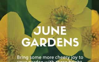 top plants june