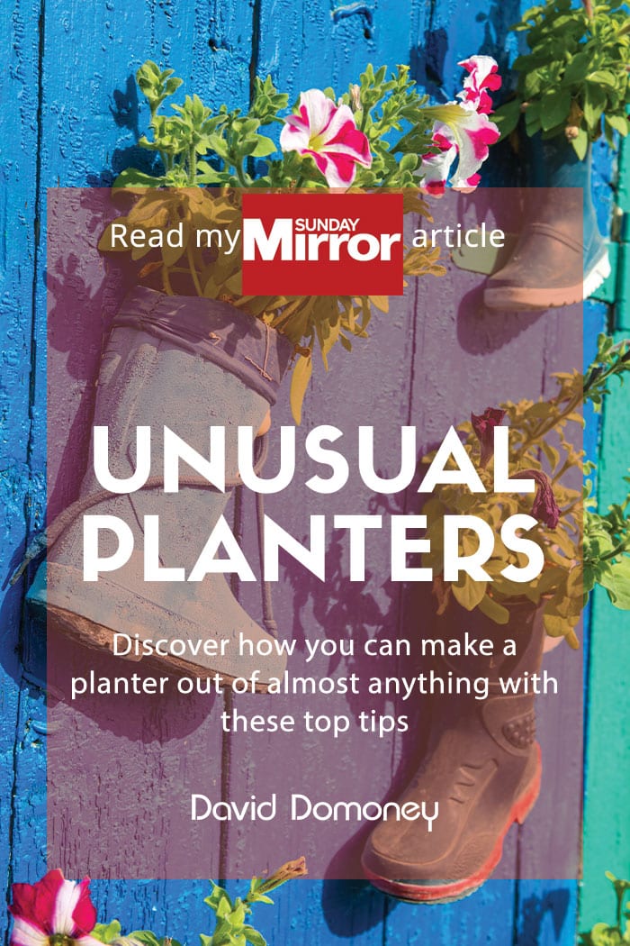 Sunday Mirror article: Unusual planters