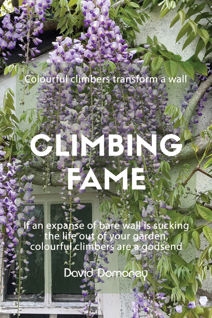 Climbing Fame